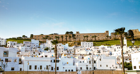 Obraz premium Picturesque view of white houses clustered on a hillside, showcasing Tétouan’s traditional architecture under a clear blue sky.