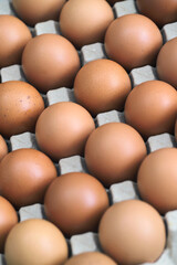 Closeup chicken Eggs Arranged In a Paper Tray.