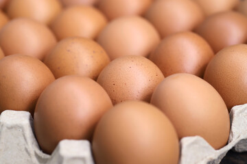 Closeup chicken Eggs Arranged In a Paper Tray.