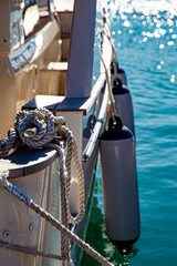 Sailboats Anchored in Marina Harbor