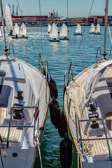 Sailboats Anchored in Marina Harbor