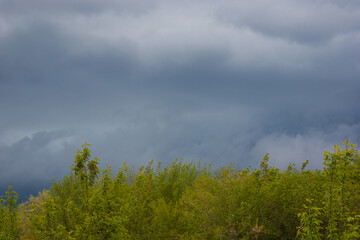 Stormy clouds and rain with dramatic sky above the trees. Rain clouds. Dark cloudy sky before thunderstorm. Stormy cloudy skies. Over head shot of rain clouds. The natural diverse shape of clouds