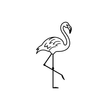 Line art drawing of a flamingo standing on one leg, isolated on a transparent background.