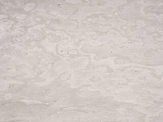 Gentle whispers of pale ash and soft cloud form a serene veneer pattern, characteristic of the understated elegance of maple wood