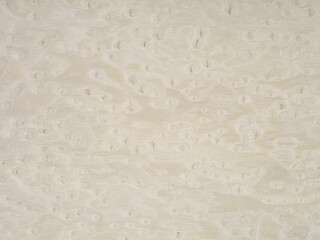 Captivating lacewood veneer swirls in a delicate ballet of ivory and pale taupe, enchanting in its natural pattern