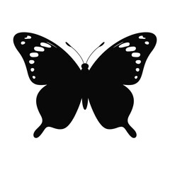 Black Silhouette of a Butterfly on White Background