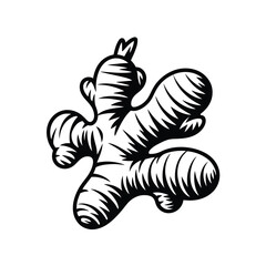 Hand Drawn Black and White Ginger Root Illustration