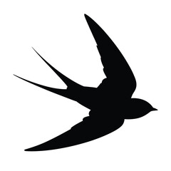 Silhouette of a swallow in flight against a white background