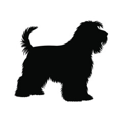 Silhouette of a Soft Coated Wheaten Terrier Dog Standing Profile View