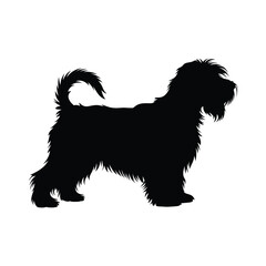 Silhouette of a Skye Terrier Dog Standing Profile on a White Background