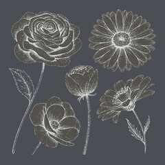 Beautiful floral illustration featuring variety of flowers including rose, daisy, and peony, showcasing intricate details and elegant lines