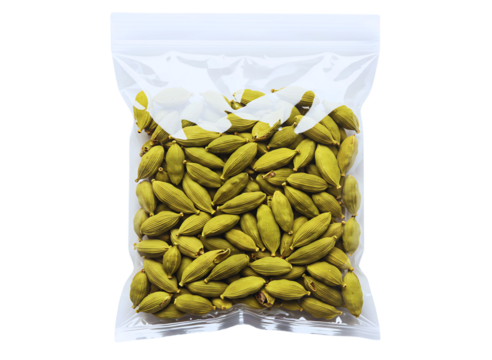 butterflies isolated on transparent background