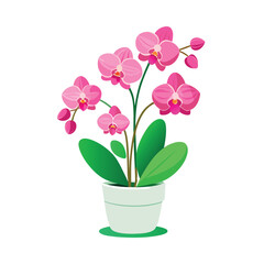 a-clean--stylized-vector-of-a-vibrant-pink-phalaen.eps