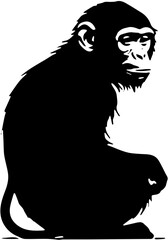 vector illustration of monkey 