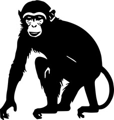 vector illustration of monkey 