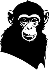 vector illustration of monkey 