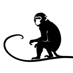 vector illustration of a monkey 