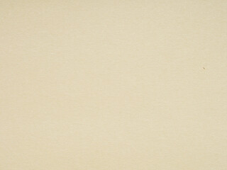 Whispers of cream and ecru dance across the unblemished expanse of this minimalist beige paper backdrop