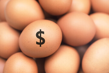 Rising chicken egg Prices in the USA. Brown Eggs with Dollar Symbol.  
