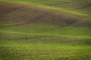 Beautiful spring landscape with field, hills and sunset. Czech Republic - South Moravia (Moravian Tuscany.) Concept for agriculture, travel, environment and nature..