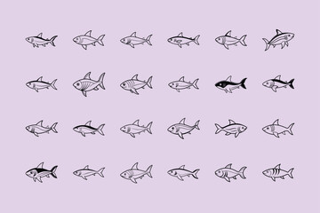 Bala Shark, aquarium fish line art illustration