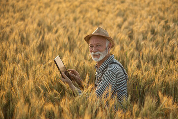 An elderly farmer seated in a wheat field, joyfully interacting with a tablet, representing a...
