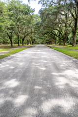 wormsloe historic site, savannah, georgia