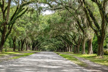 wormsloe historic site, savannah, georgia