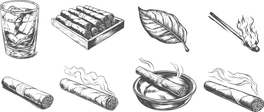 Set illustrations of cigar isolated on transparent background. Vector graphics