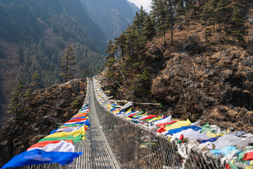 Unique bridge on the mountain between trees, Nepal.