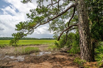 wormsloe historic site, georgia