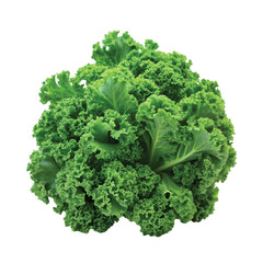 Kale Leaves Bunch: A bunch of curly kale leaves with textured surface, PNG file for mock-up