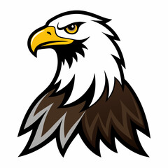 american bald eagle