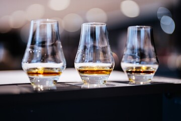 Savoring the nuances of fine spirits during a tasting experience
