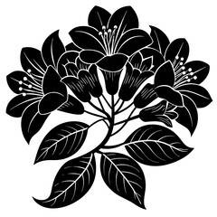 black and white flower