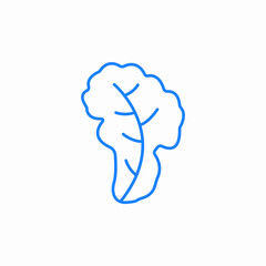 salad lettuce icon sign vector