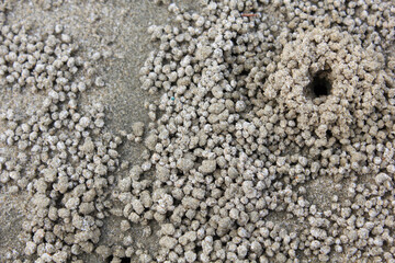Sand Bubbles from Burrowing Crabs. Close-up of tiny sand balls created by burrowing sand bubbler crabs near a small hole on the beach.