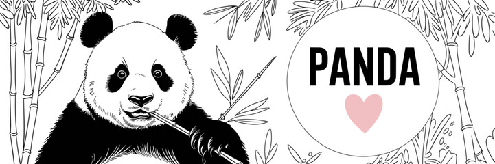 Panda eating bamboo with forest background and heart accent – Ideal for wildlife-themed designs