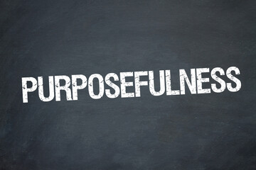 Obraz premium Purposefulness 