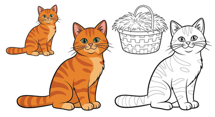 Fototapeta premium Asian Farm Cat Coloring Activity with Vibrant Colored and Simple Outline for Children Fun