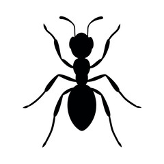 Hessian Fly Insect Silhouette Vector Illustration