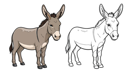 Asian Donkey Coloring Page with Detailed Colored and Clear Outline Animal Illustration