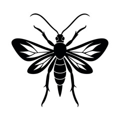 Lanternfly Insect Silhouette Vector Illustration