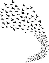 Bird flock silhouette vector, abstract flying birds formation, nature movement design, black birds in sky, freedom and migration concept