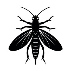 Louse Fly Insect Silhouette Vector Illustration