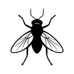 Tiger Beetle Insect Silhouette Vector Illustration