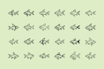 Rummy Nose Tetra, aquarium fish, line art illustration