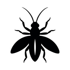 whirligig beetle vector silhouette .eps