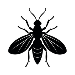 Assassin Bug Insect Silhouette Vector Illustration