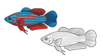 Fototapeta premium Killifish Coloring Page with Realistic and Outline Fish Pair for Aquatic Study